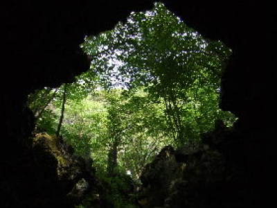 溶岩樹型.JPG