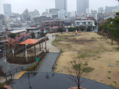 屋上からの景色