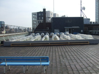 屋上庭園全体