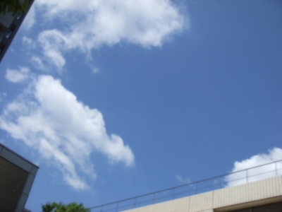 いいお天気!