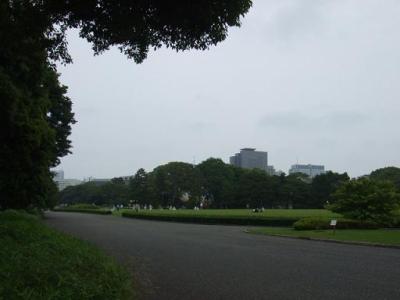 芝生