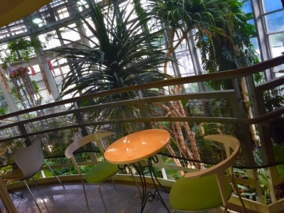 おいすコーナー